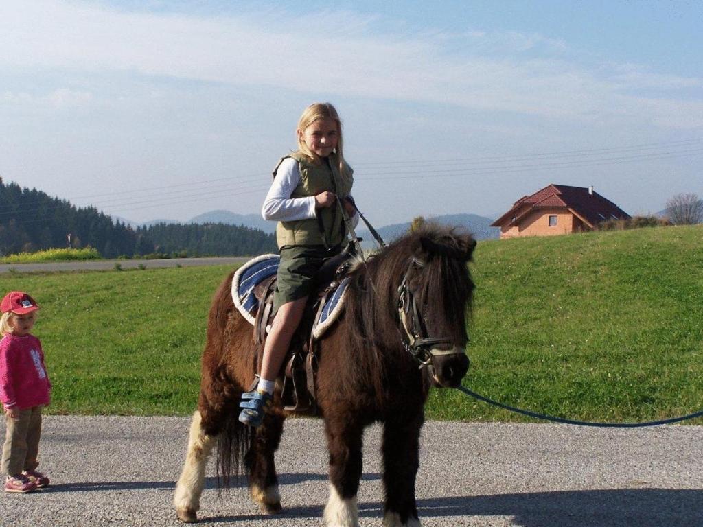 Děti v ubytování Ferienwohnung Hinterdorfer