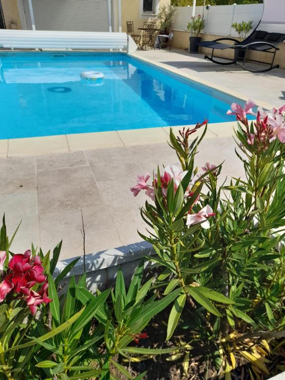a swimming pool with some flowers in front of it at Studio sympa meublé avec parking privé et piscine in Manosque