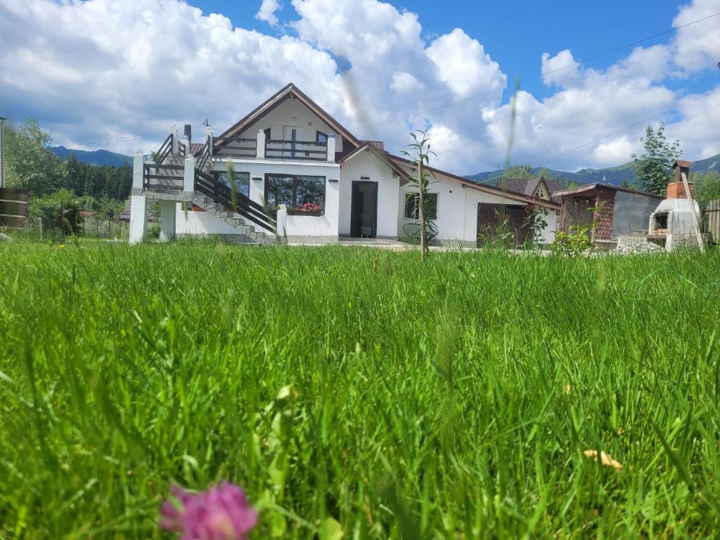 a house in a field of tall green grass at Poarta Zaganului Cheia in Cheia