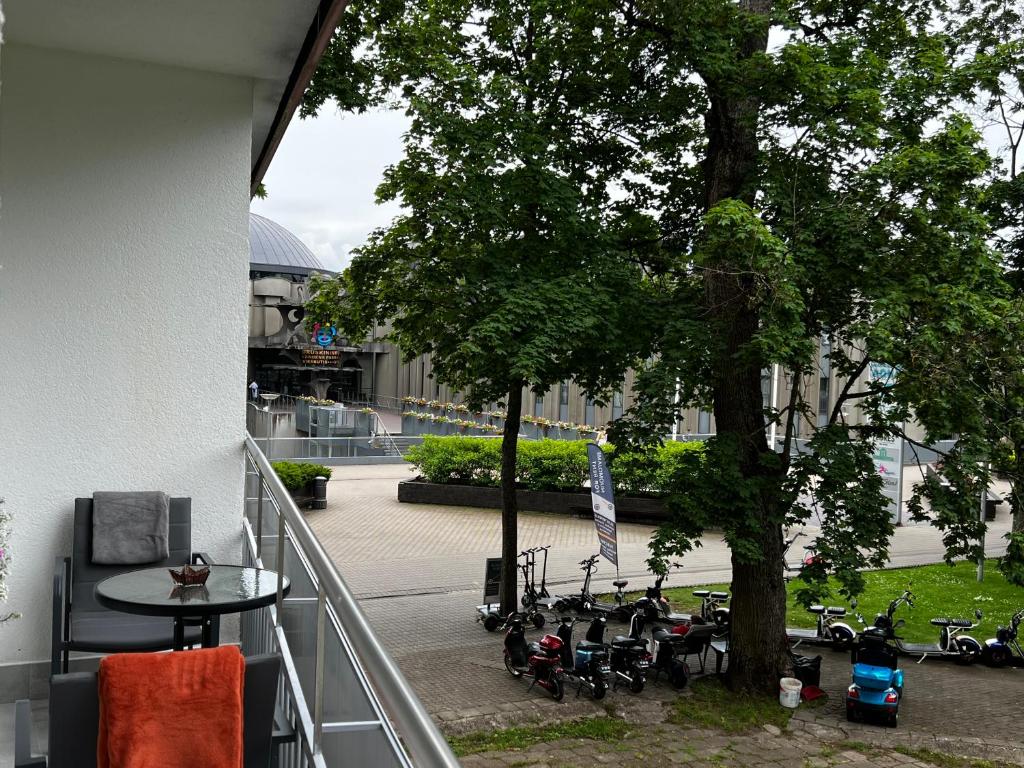 Zahrada ubytování Alėjos Apartmentai City