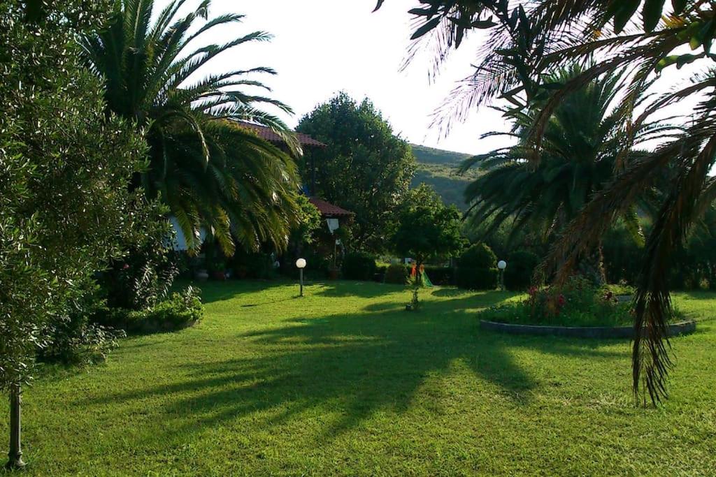 a green yard with palm trees and a house at Casavita 1 in Polykhrono