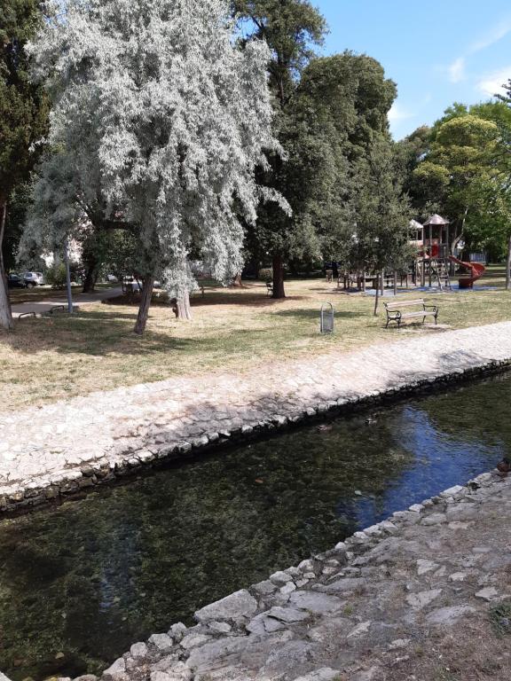 Príroda v okolí apartmánu