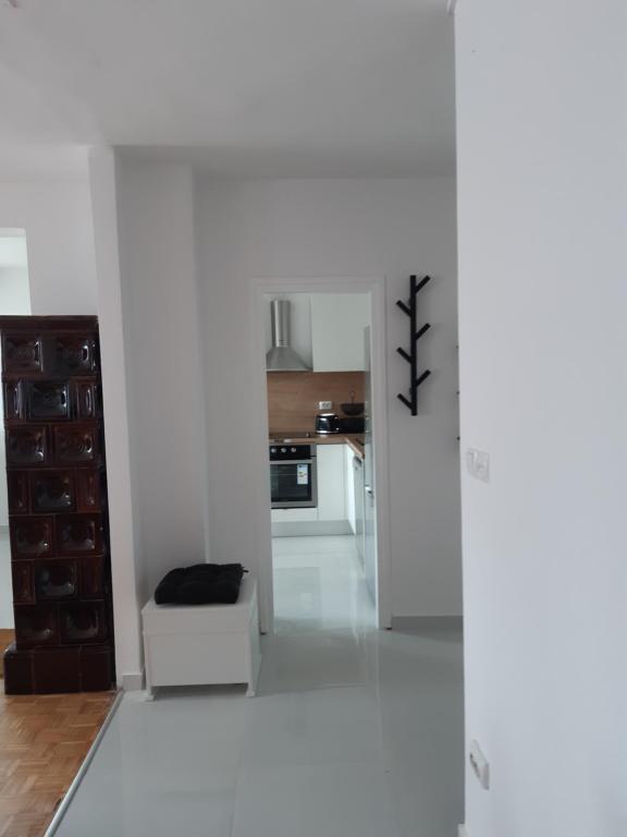 Kuchyňa alebo kuchynka v ubytovaní Blaslov Family Apartment