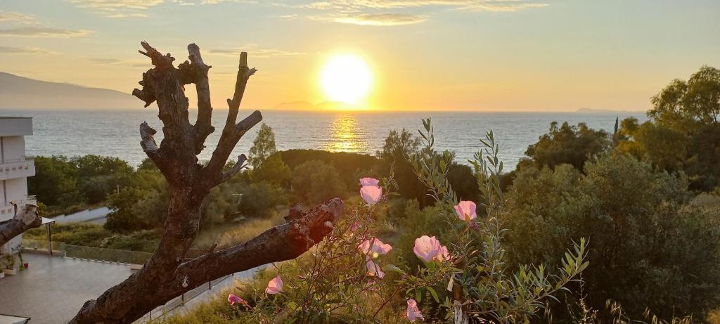 Views of Vlore - Lunarossa - Image 1