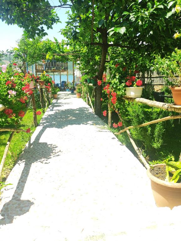 Zahrada ubytování ERDA LAKESIDE Guesthouse
