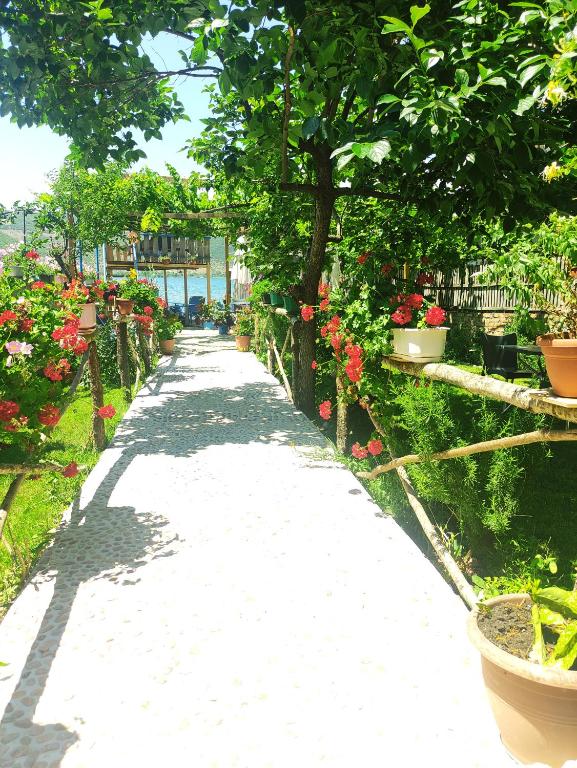 ERDA LAKESIDE Guesthouse في Lin: ممشى به زهور ونباتات في حديقة