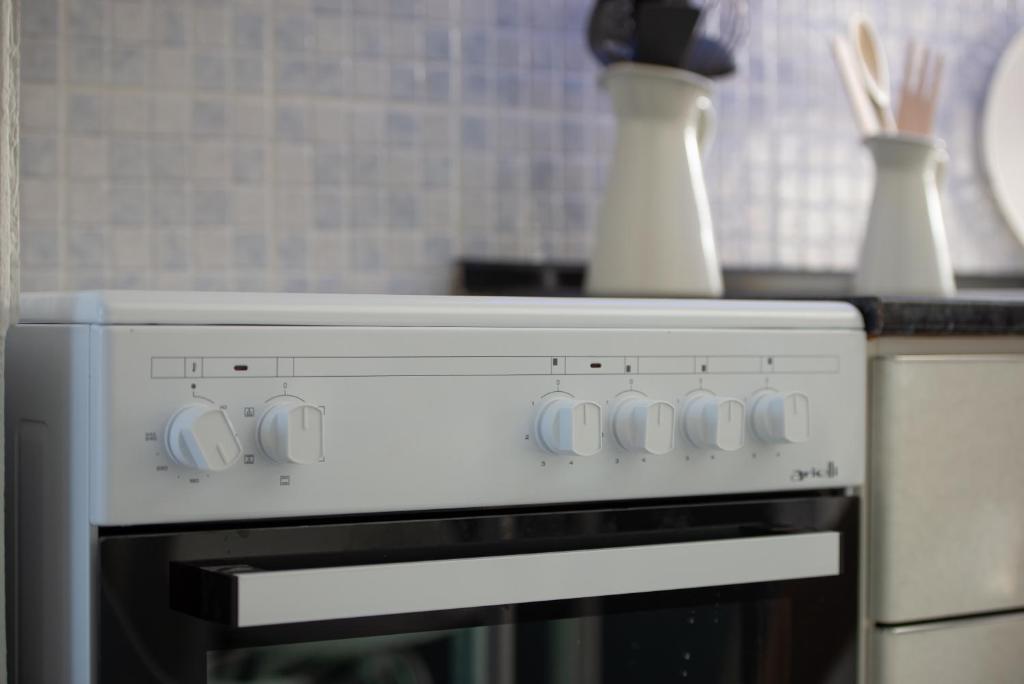 Kuchyň nebo kuchyňský kout v ubytování Leonardo Apartamente