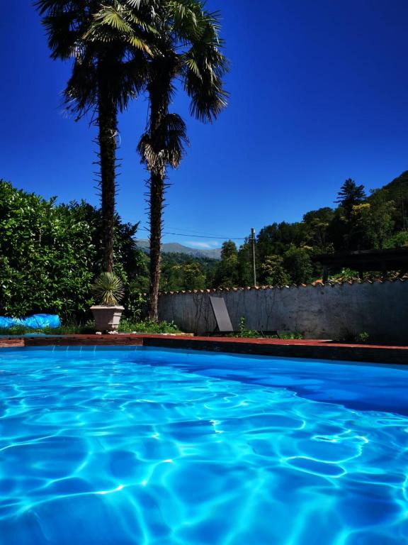 Bazén v ubytování B&B Romantico Palazzo dei Ulivi nebo v jeho okolí