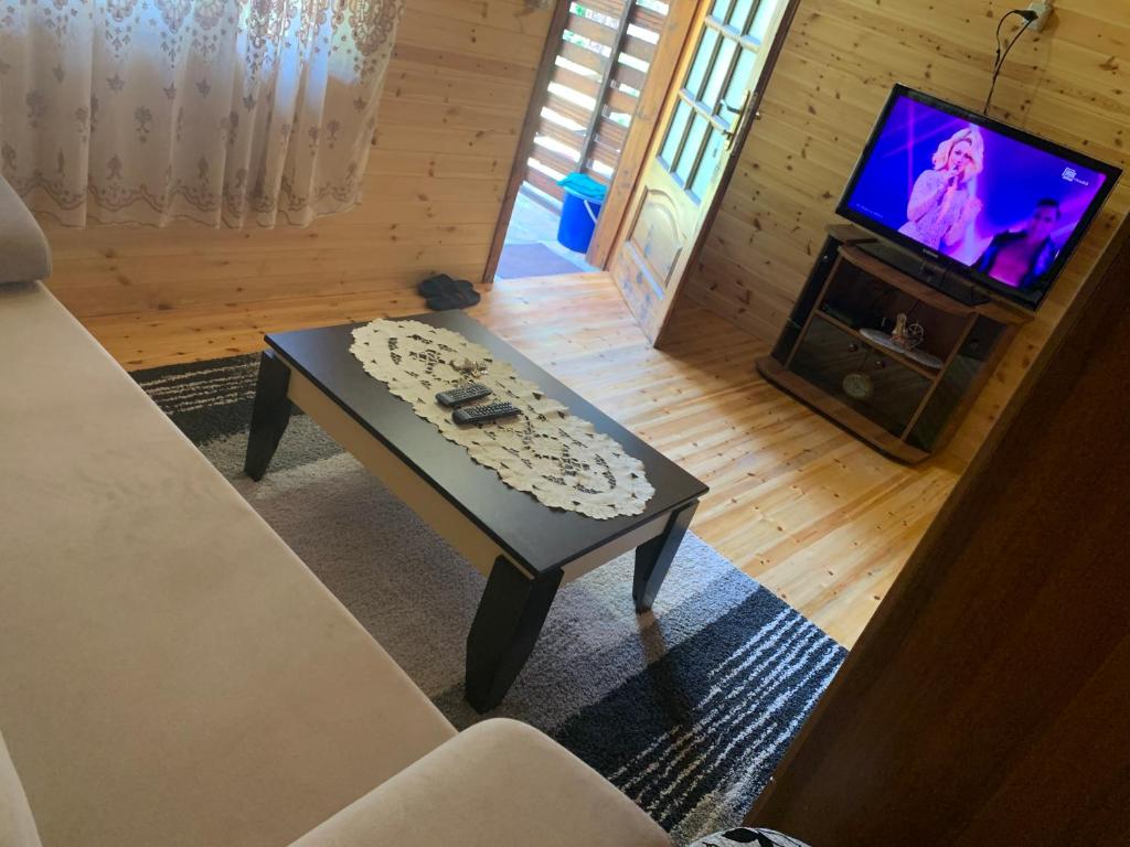 TV a/nebo společenská místnost v ubytování Bujtina Uji I Panjes, Log Cabins