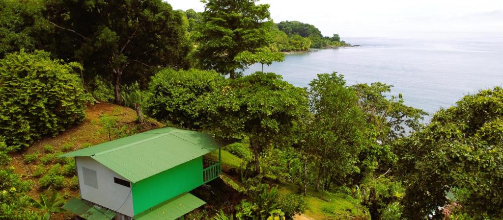 a green building in the trees next to a body of water at Cabaña Ara Macao Lodge in Drake
