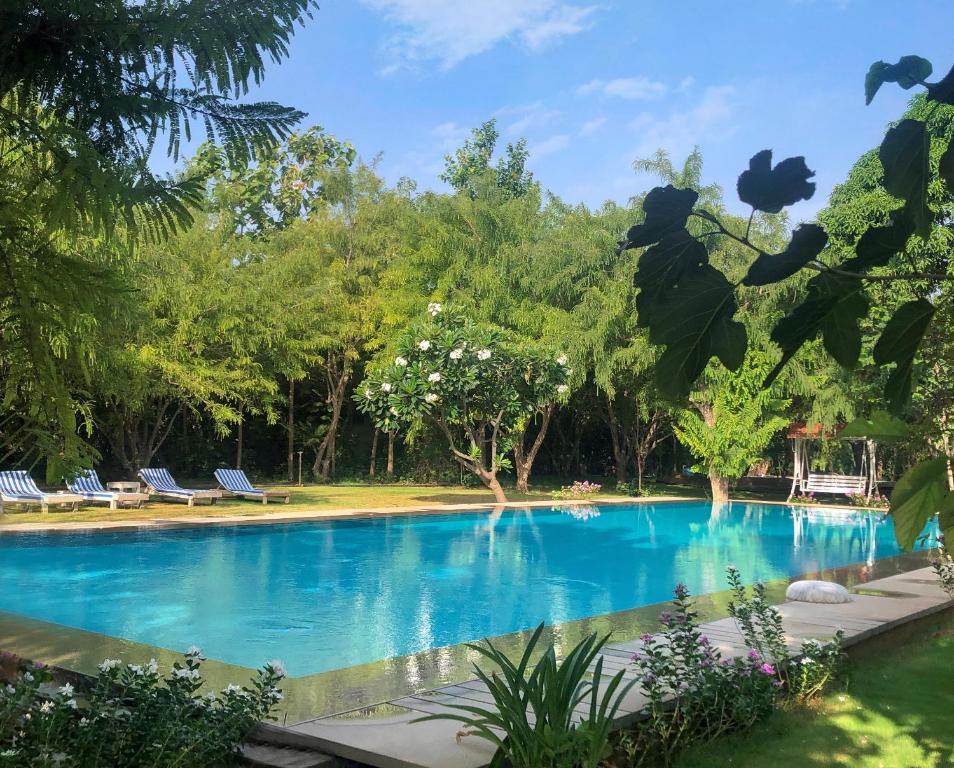 a swimming pool with blue water and trees at PushkarOrganic - Lux farm resort with pool in Pushkar