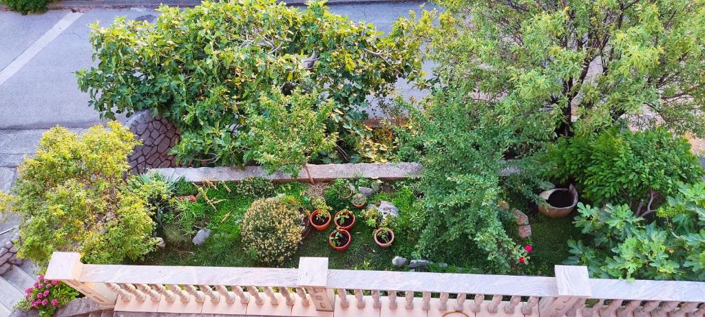 an overhead view of a garden with plants and flowers at Apartment and Rooms Busa 3 in Senj