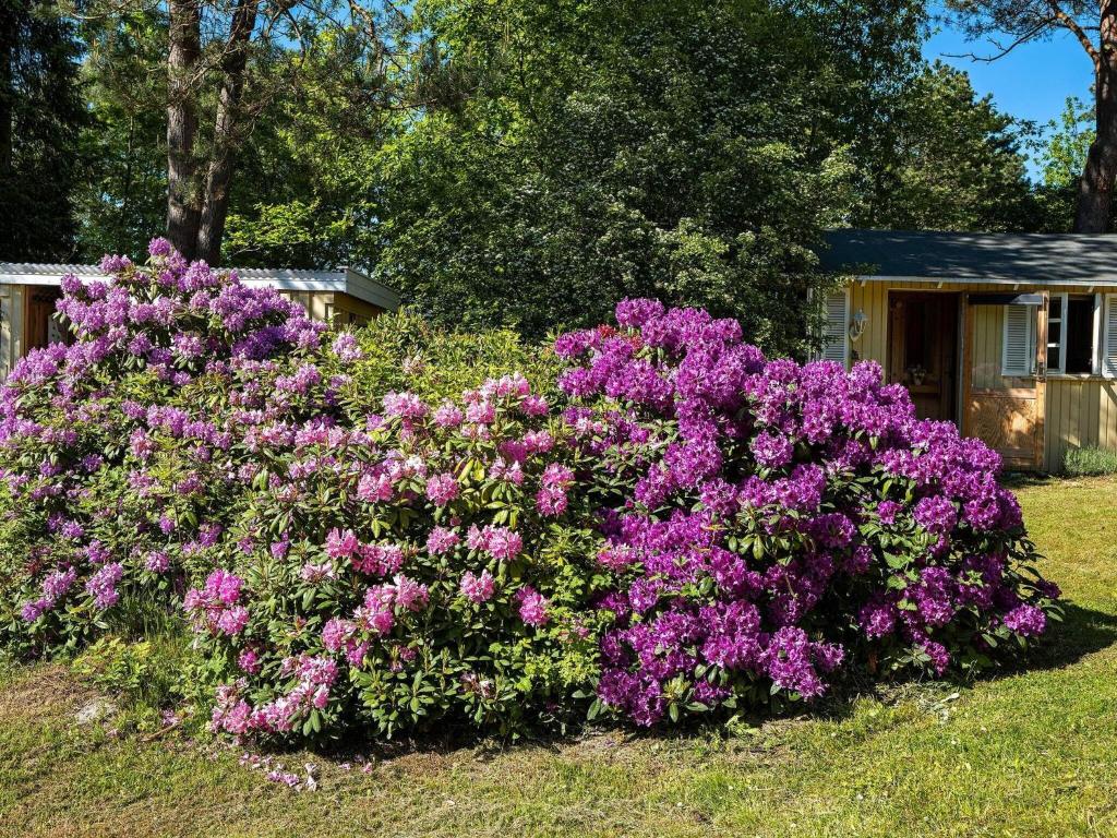 Fotografie z fotogalerie ubytování Holiday home Rørvig XVI v destinaci Rørvig