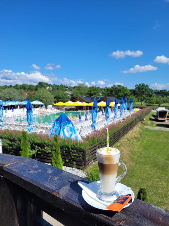 a cup of coffee sitting on a table next to a pool at Casa Domnească Cacica in Cacica