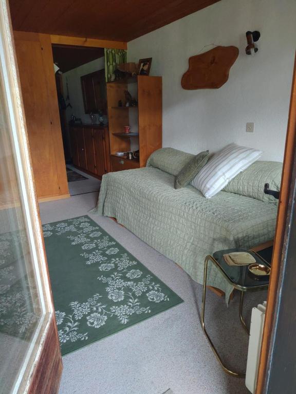 Giường trong phòng chung tại Studio avec vue splendide sur les Diablerets