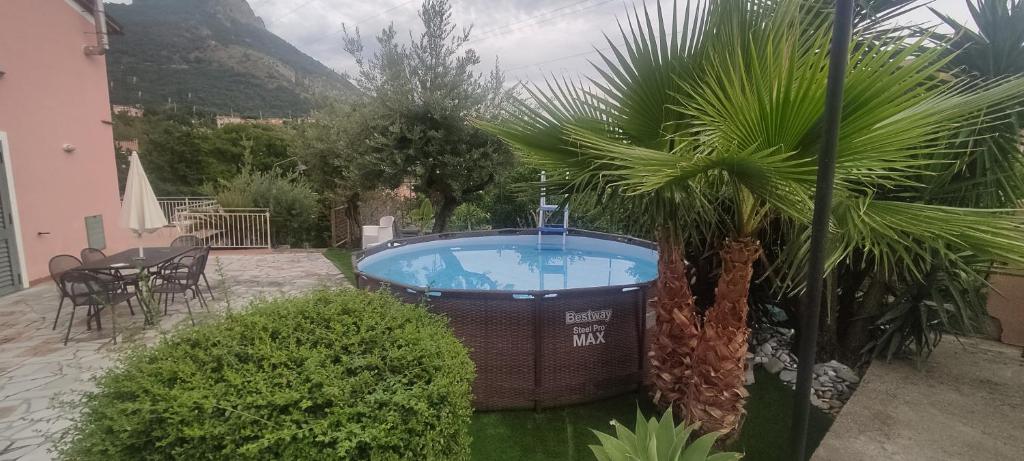 una bañera de hidromasaje en un patio con una palmera en Villa cassandra, en Maratea