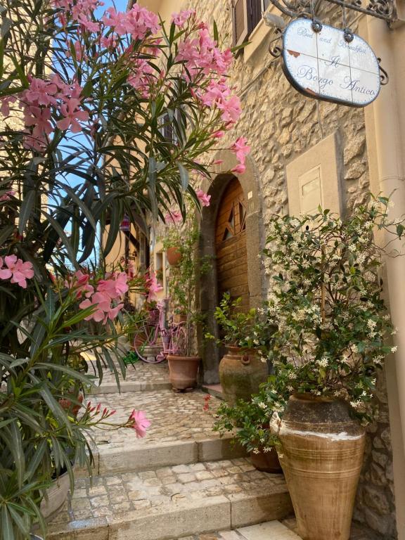 um grupo de vasos de plantas em frente a um edifício em Il Borgo Antico em Rocca Massima