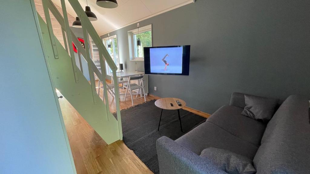 TV a/nebo společenská místnost v ubytování Floda, Minihus på 62m2 för plats för 4 vuxna och 2 barn