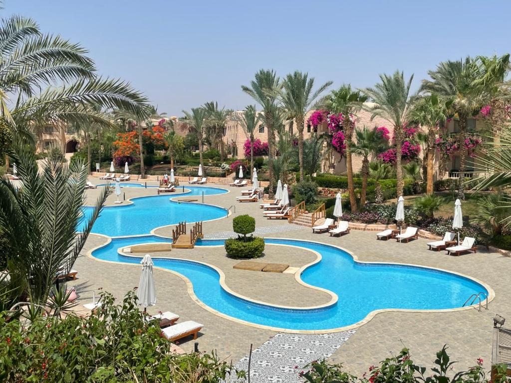 a resort swimming pool with lounge chairs and palm trees at BLUE Lagoon View Resort & Spa in Marsa Alam City
