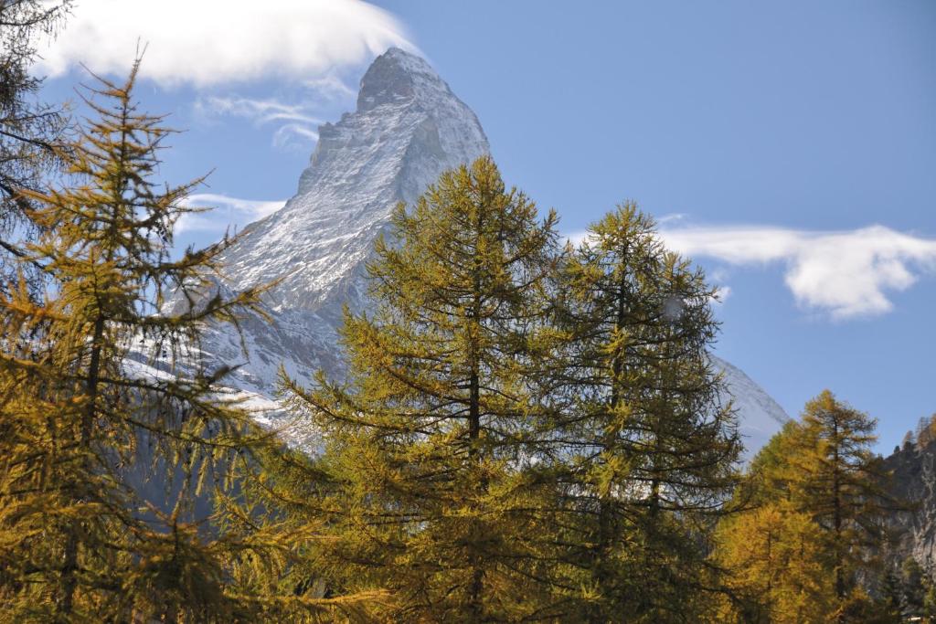 Zermatt Youth Hostel - Resim 6