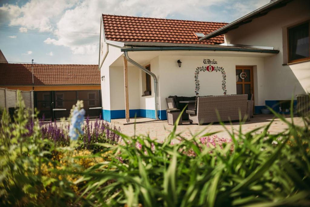 una casa con un jardín delante de ella en Apartmán U Drába: ubytování na Slovácku v Miloticích u Kyjova, en Milotice