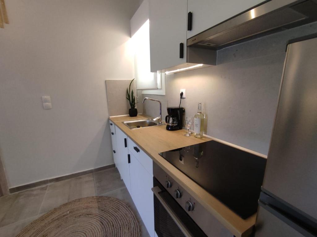 Kuchyň nebo kuchyňský kout v ubytování Coritos apartments Corfu