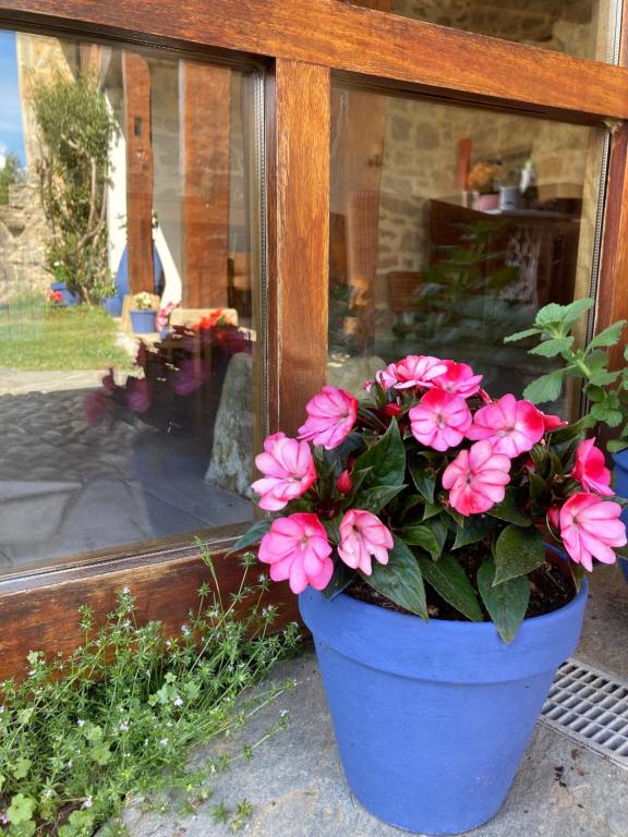 Jardín al aire libre en Posada La Casona de Los Güelitos