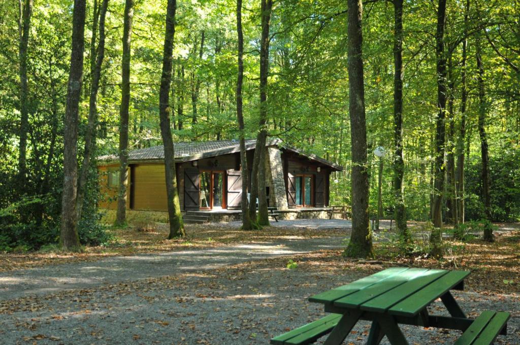 eine Hütte im Wald mit einem grünen Picknicktisch in der Unterkunft Village de Vacances d&#39;Oignies in Oignies