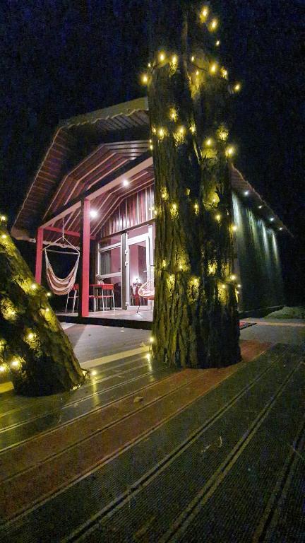 un edificio con un árbol delante de él por la noche en VIP Red Love house for 2 en Shilagalyay