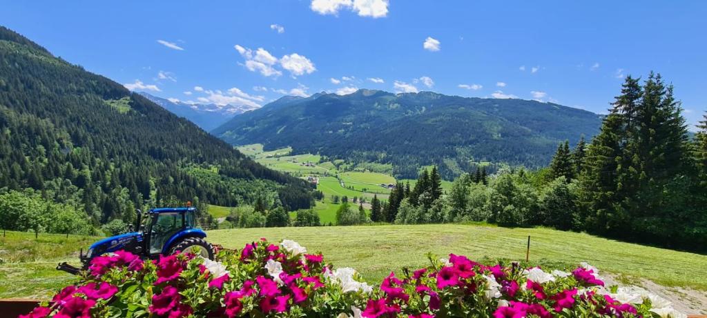 einem blauen Traktor, der auf einem Feld mit Blumen parkt in der Unterkunft Appartment Tobias in Radstadt