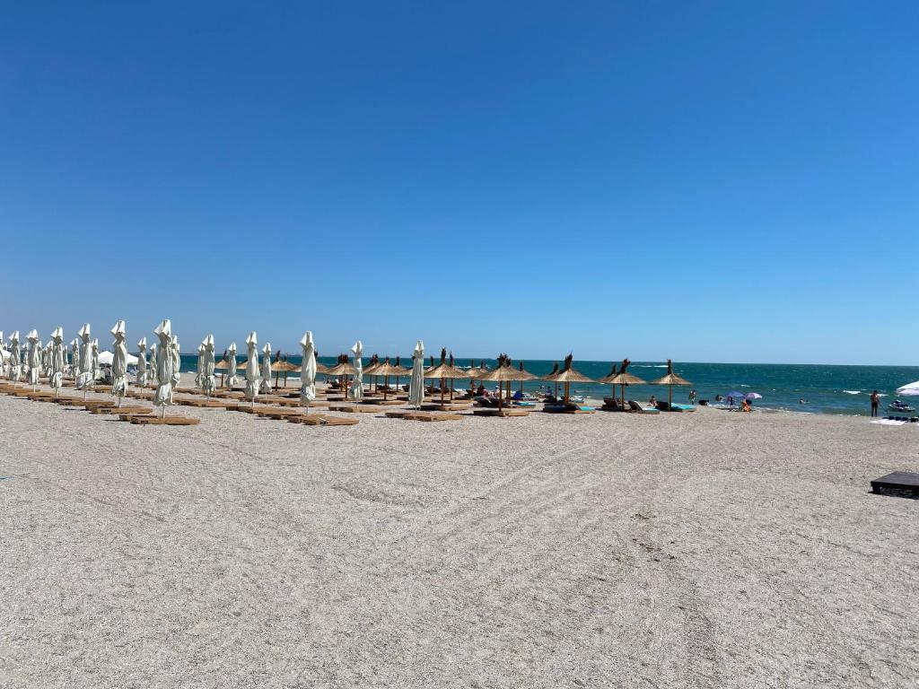 En strand i nærheden af lejligheden