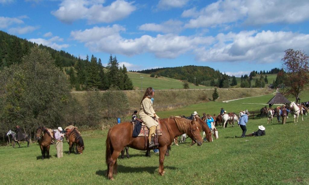 Zvířata v hotelu nebo okolí