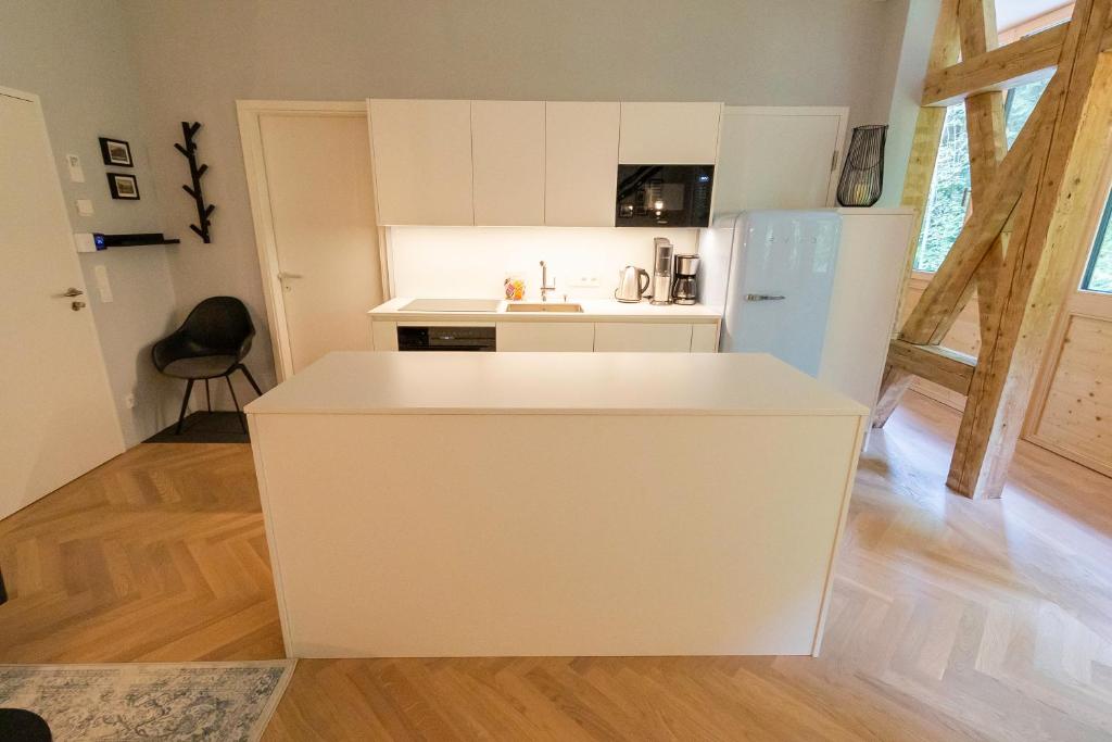 Kuchyň nebo kuchyňský kout v ubytování Apartment in historischer Villa mit Parkplatz