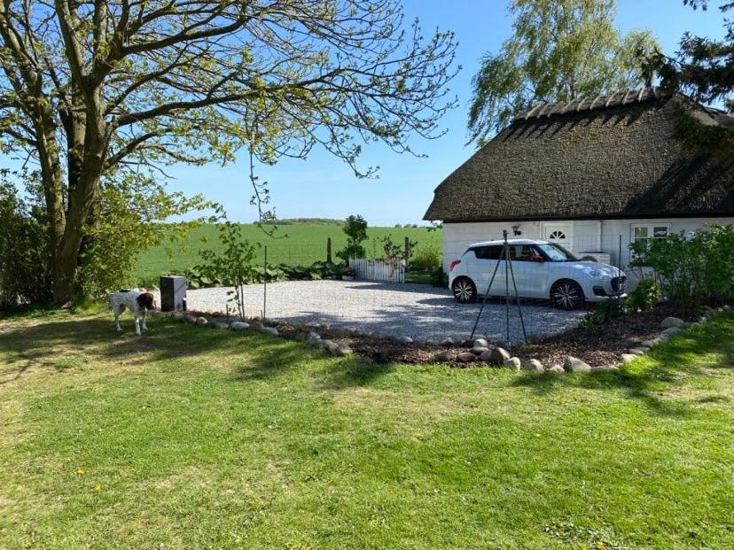 Zahrada ubytování Svalebølle Bed & Breakfast