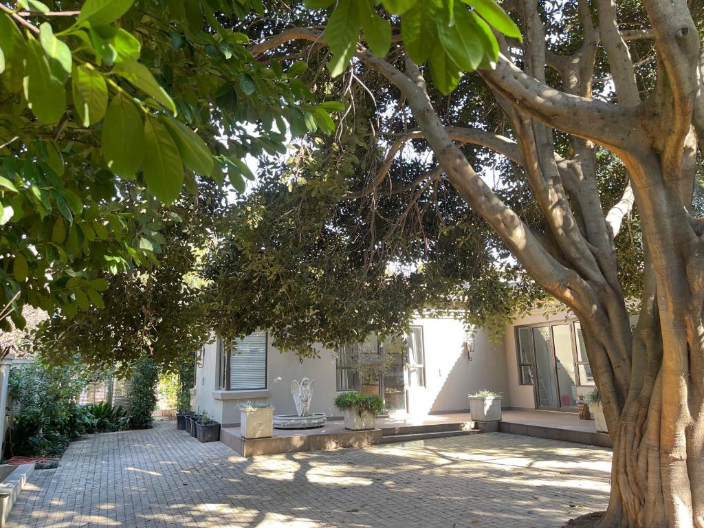 un árbol frente a una casa con un banco en PepperTree Guest House, en Johannesburgo