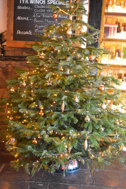 Tyr Winch - Resim 45