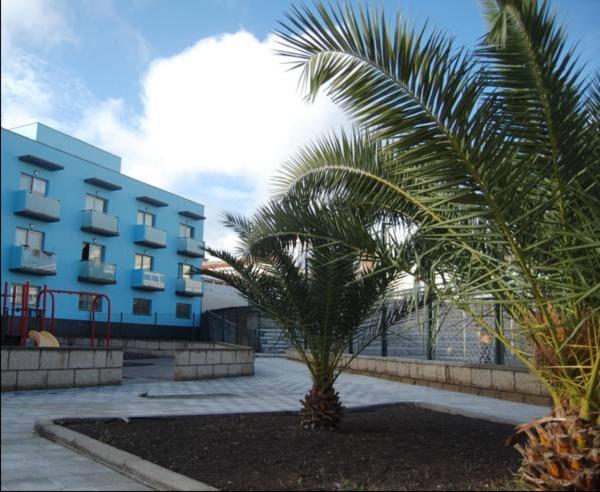 圣米格尔德阿沃纳ÁTICOS BELLA LUCÍA的建筑物前的棕榈树