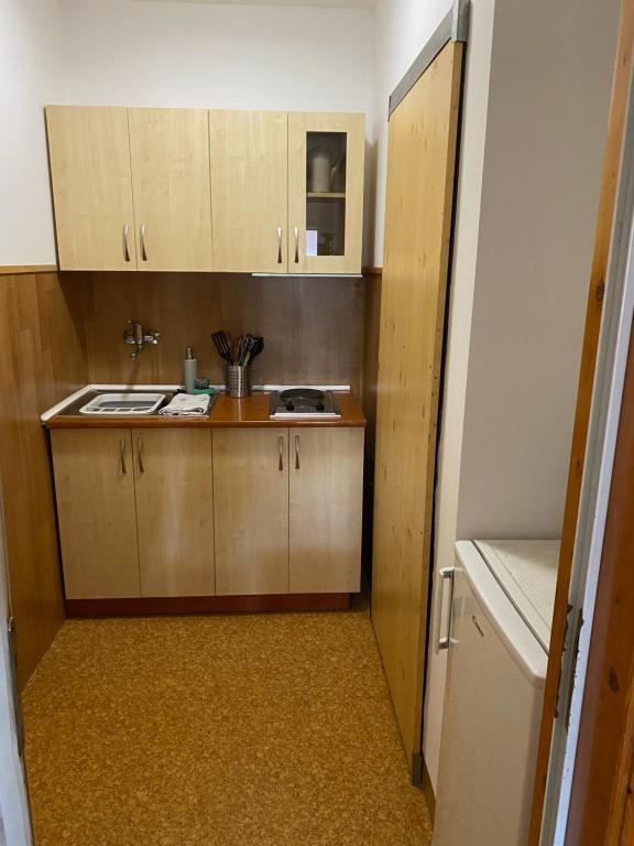 małą kuchnię z drewnianymi szafkami i zlewem w obiekcie Privat Šmídová Petra w Taborze