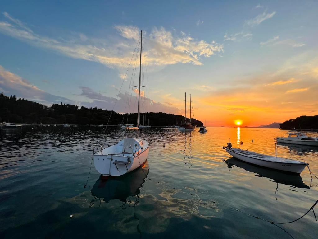Príroda v okolí apartmánu