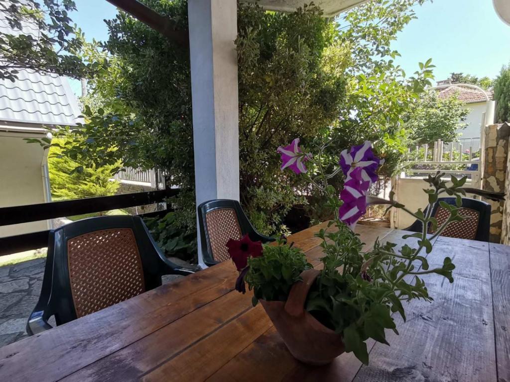 a wooden table with a potted plant on a porch at Sinemorets apartment in Sinemorets