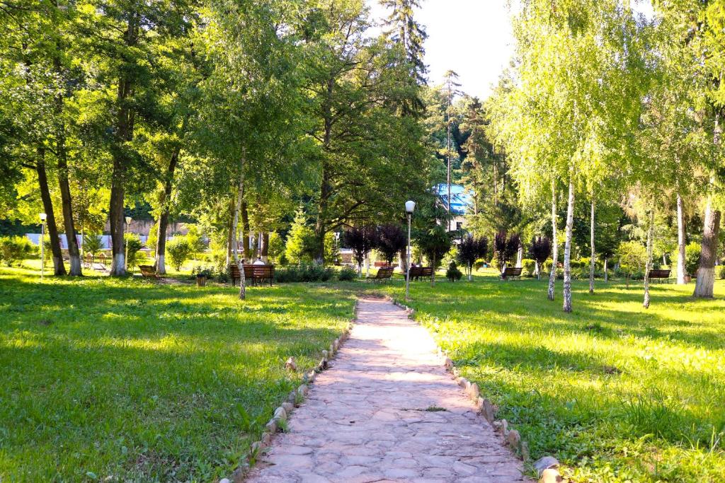 Zahrada ubytování Apartament Iulia