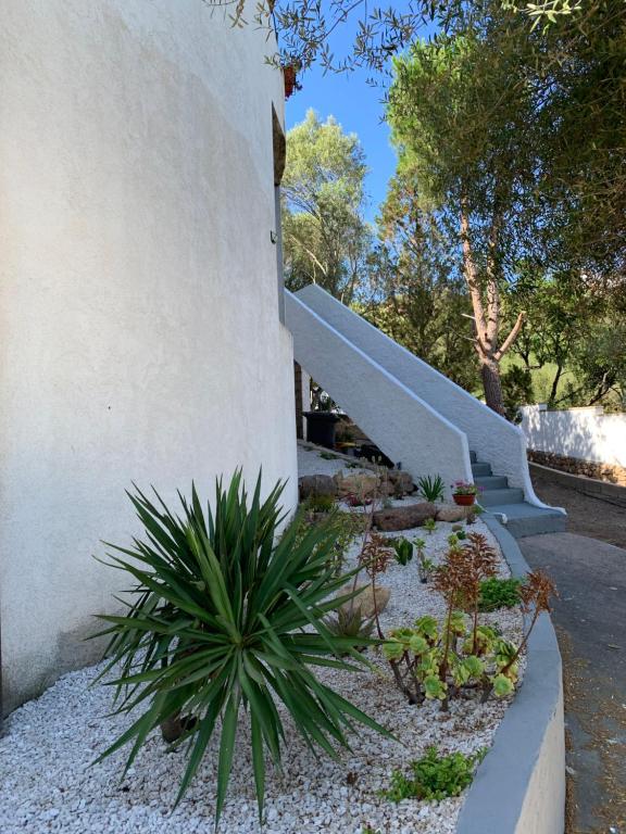 a staircase with a plant next to a building at Casa Le Cicale in Porto Istana