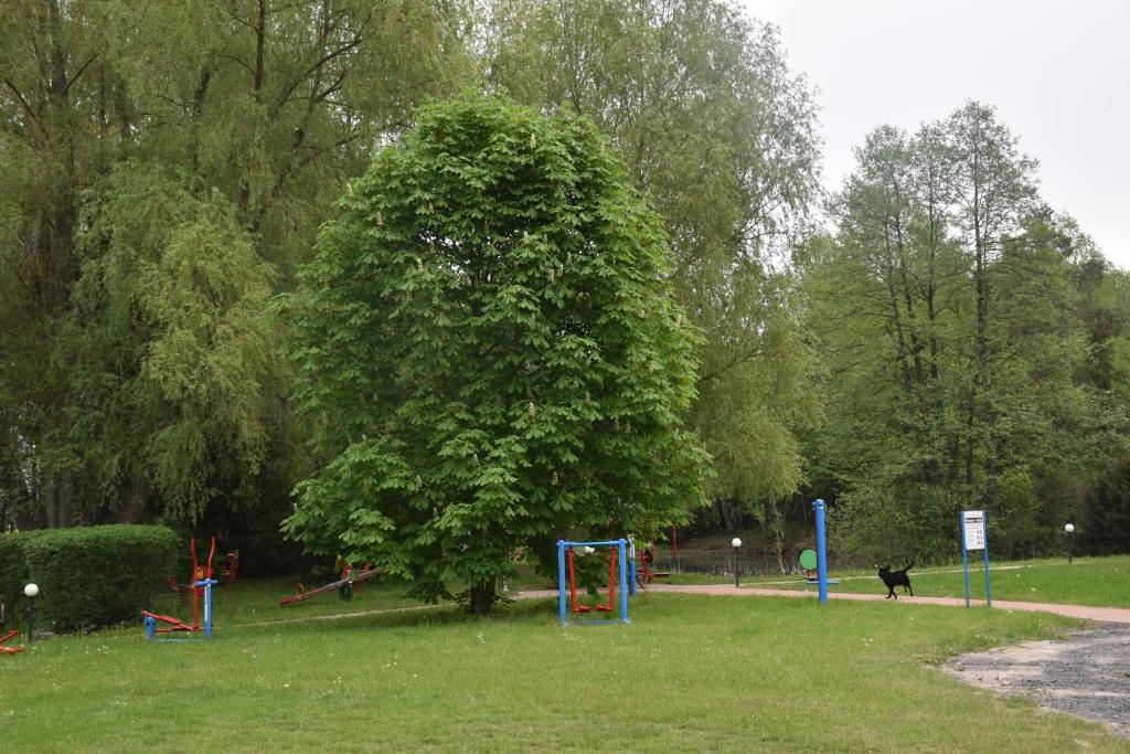Fotografia z galérie ubytovania Gosciniec Pod Debem v destinácii Trzciel