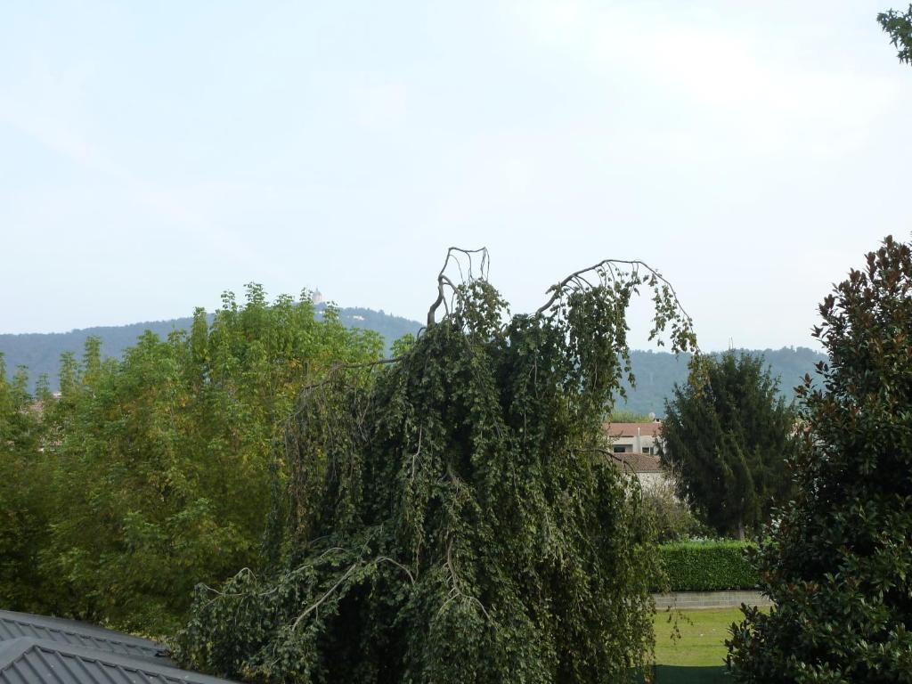 Hotel Belvedere - Resim 21