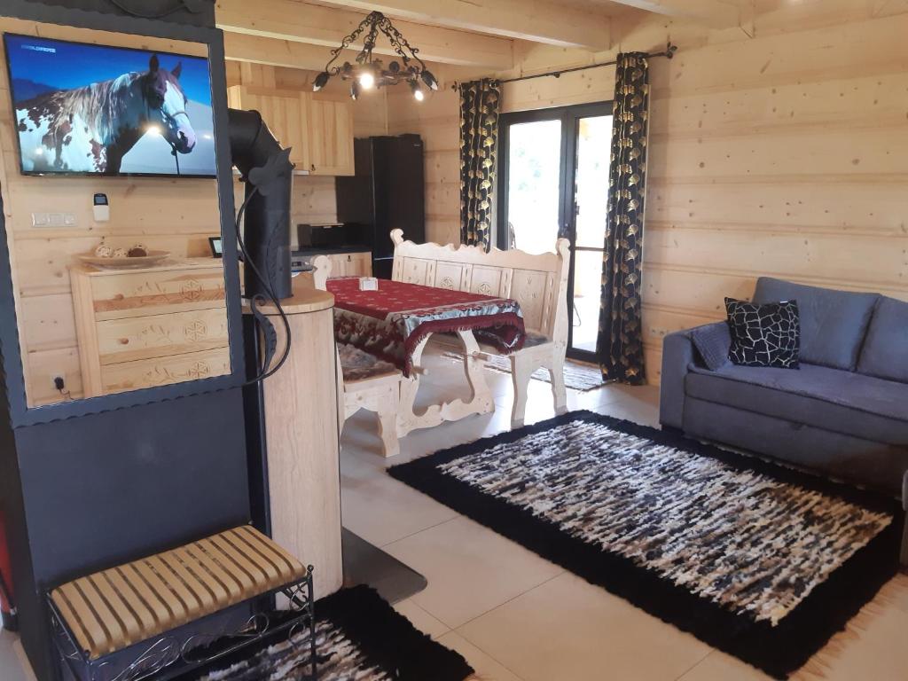 Televízia a/alebo spoločenská miestnosť v ubytovaní Mazury "Willa Ślimakowo" w Pasymiu z jakuzzi, sauną, pomostem