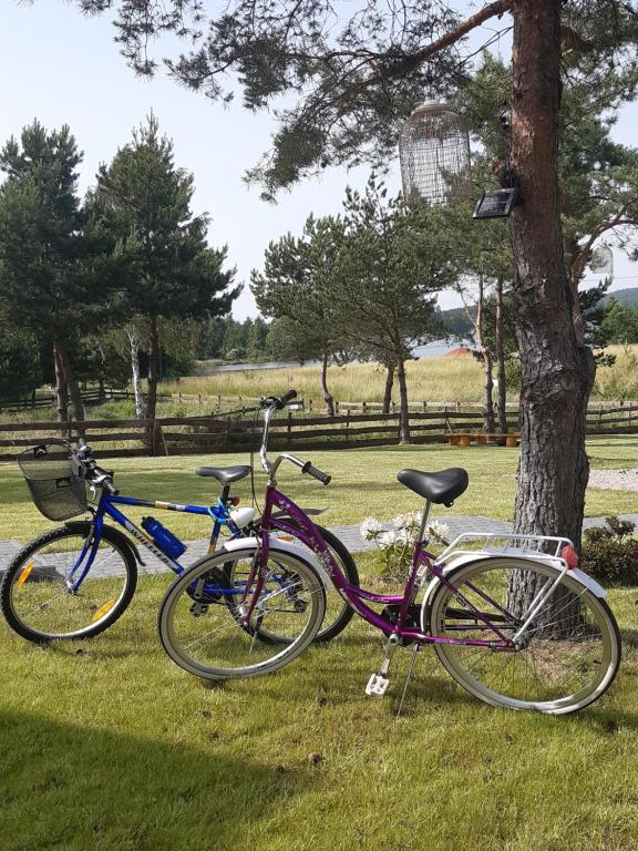 Jazda na bicykli v okolí ubytovania Mazury "Willa Ślimakowo" w Pasymiu z jakuzzi, sauną, pomostem