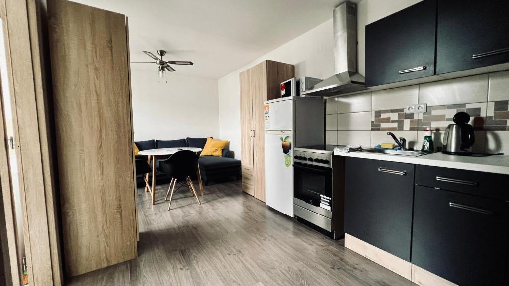 Kuchyň nebo kuchyňský kout v ubytování Ubytování Lednice