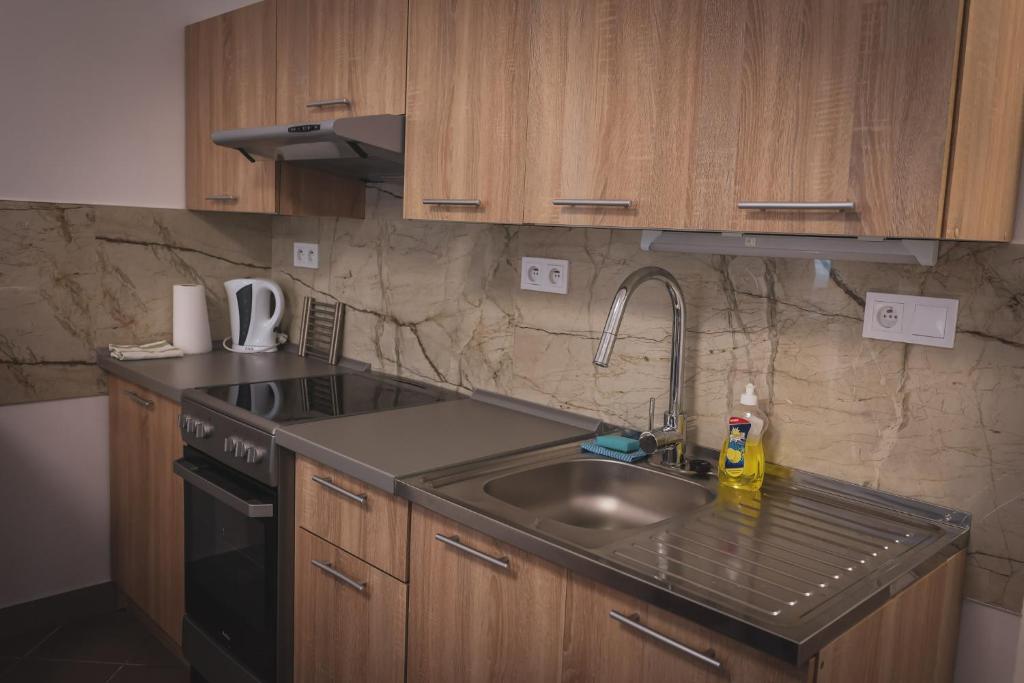 Cucina o angolo cottura di Hotel Apartment Faraon