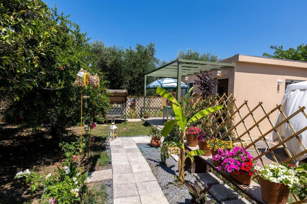 Zahrada ubytování Bougainvillea house with private garden