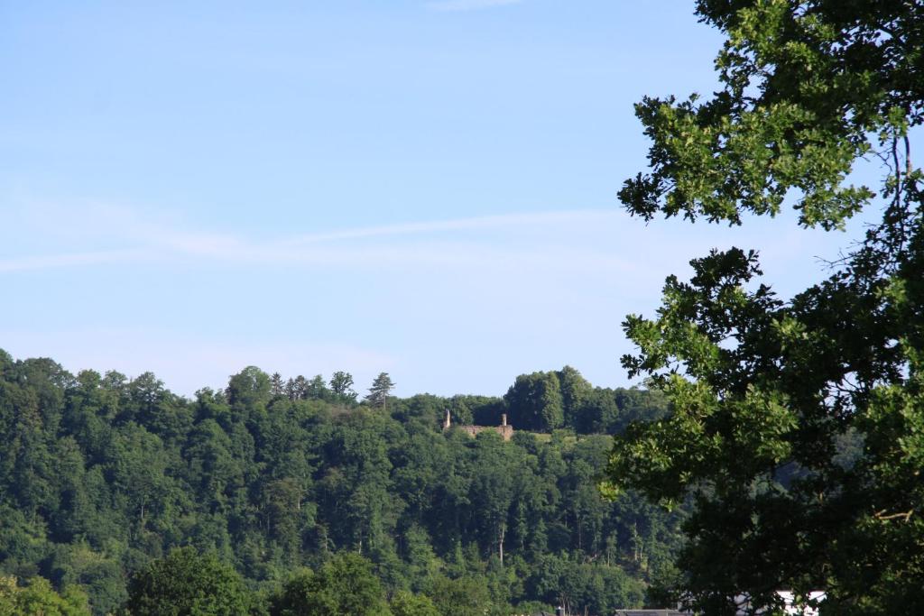 a house on top of a hill with trees at Ferienwohnung Klosterblick in Homburg